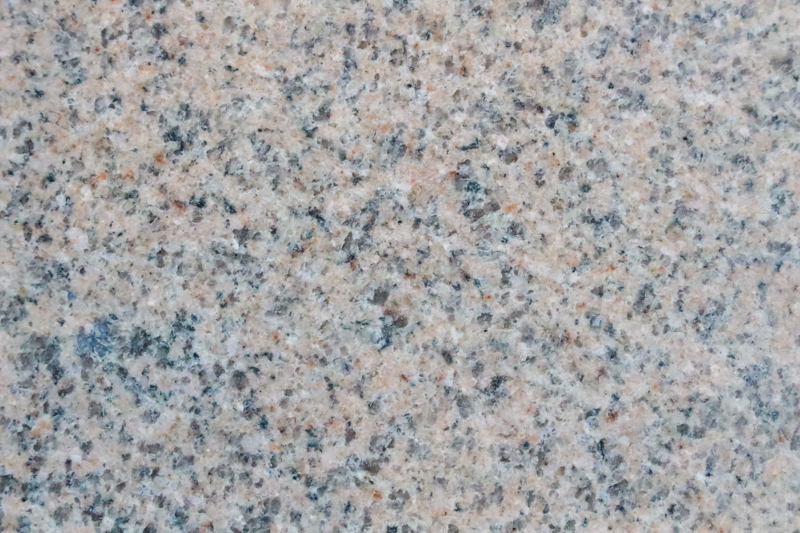 蝦紅2號(hào)光面
